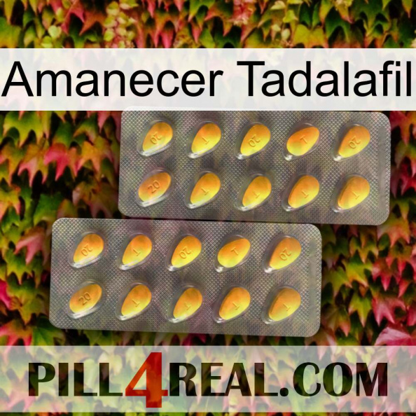 Tadalafil Sunrise cialis2